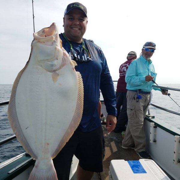 rhodeisland7bees2018118lbfluke.jpg
