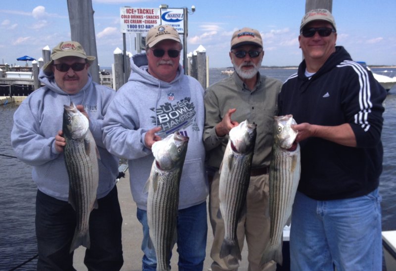 striperfishingonreelfunsportfishing.jpg